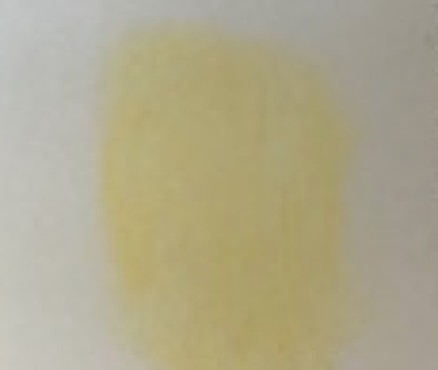 Νο. 102 - ξηρό παστέλ l'ecu Sennelier Naples yellow